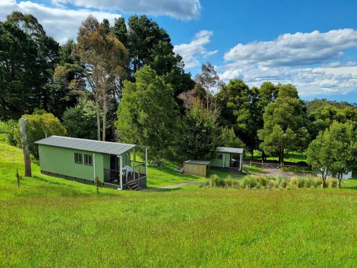 Cozy Otways Accommodation Beech Forest Exterior foto